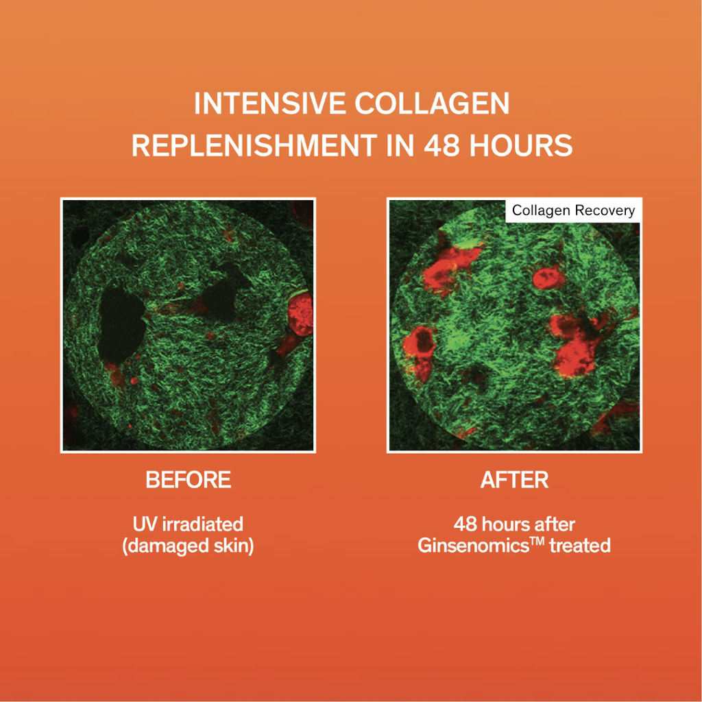 Sulwhasoo Concentrated Ginseng Rejuvenating Water 150ml